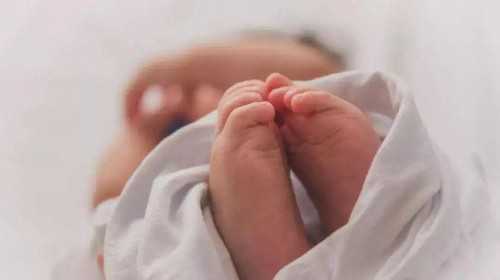 温州单身借卵 火热更新温州生殖医院名单公布，附2023最新供卵试管助孕指南