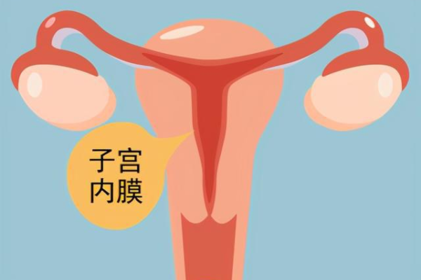 口碑好温州助孕包成功 在温州医院做试管婴儿如何预防腹水? ‘四个月b超女孩