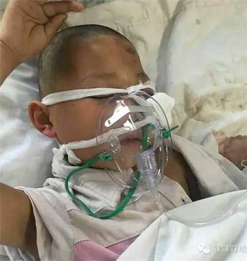 苏州供卵经历_上海国妇婴医院做试管婴儿多少钱？成功率多少？
