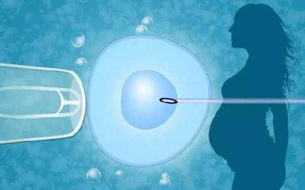襄阳试管助孕借卵生子结构排名最新汇总